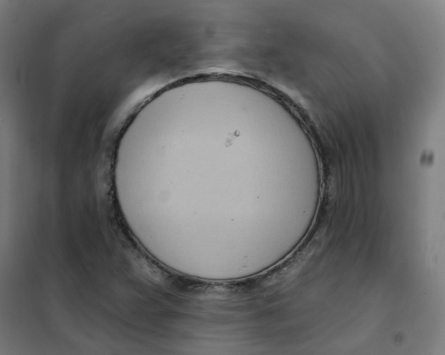 X0000101211359200807251039