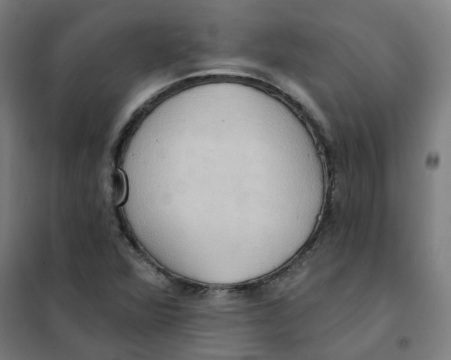 X0000101211360200807251039