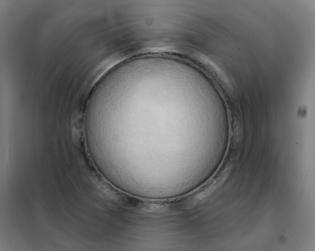 X0000101211361200807251039