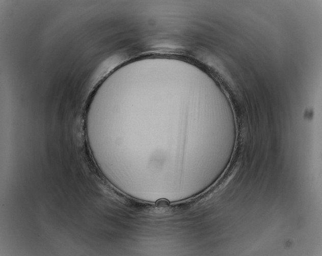 X0000101211362200807251039