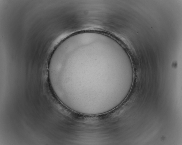 X0000101211363200807251039