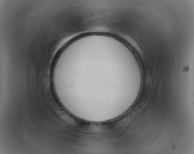 X0000101211364200807251039