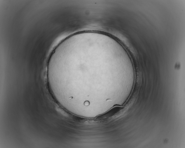 X0000101211366200807251039