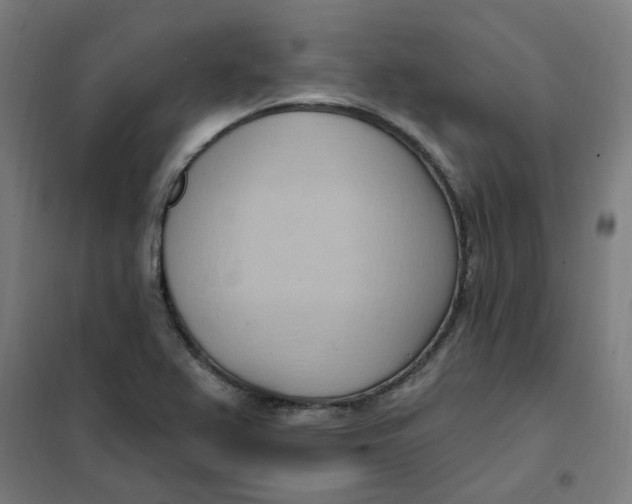 X0000101211367200807251039