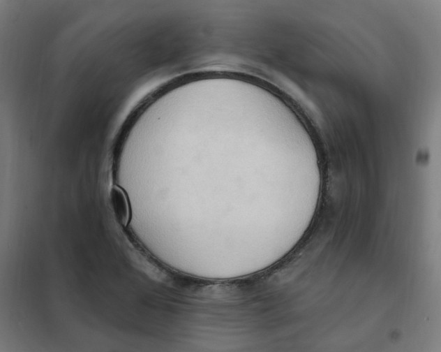 X0000101211368200807251039