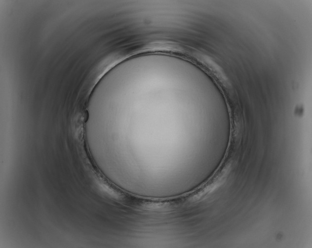 X0000101211369200807251039