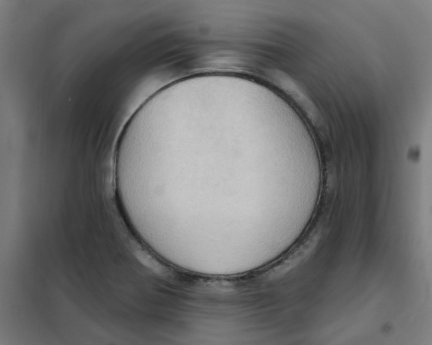 X0000101211370200807251039