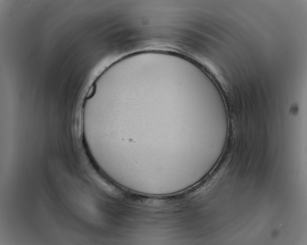 X0000101211371200807251039