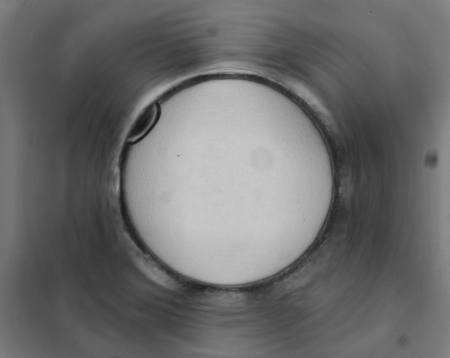 X0000101211372200807251039