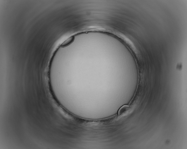 X0000101211373200807251039