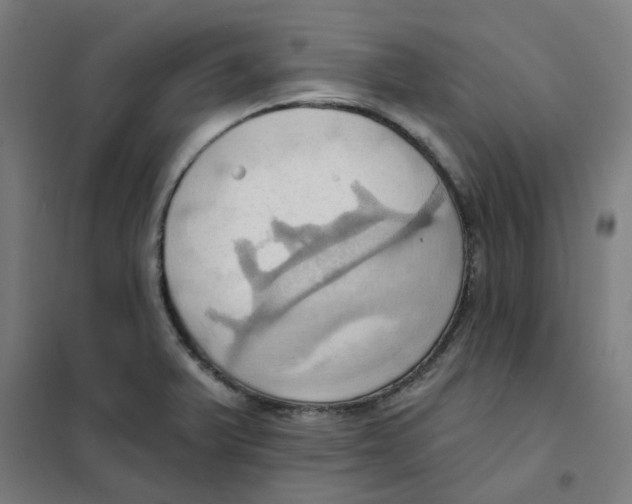 X0000101211375200807251039