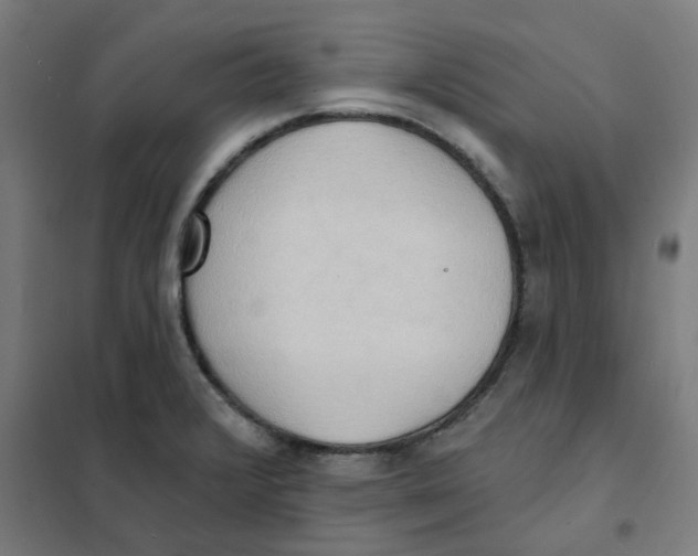 X0000101211376200807251039