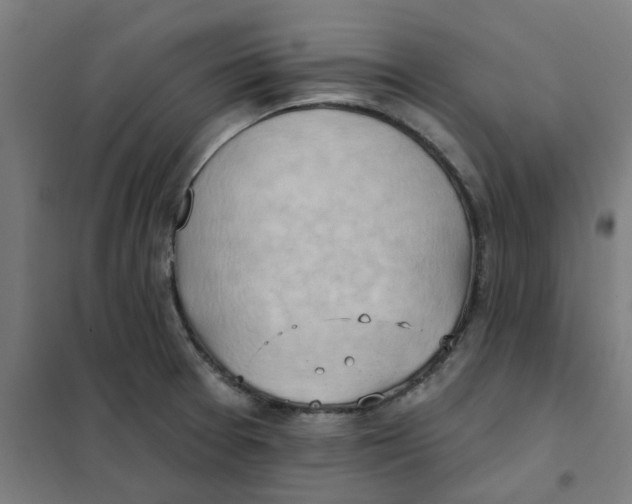 X0000101211377200807251039