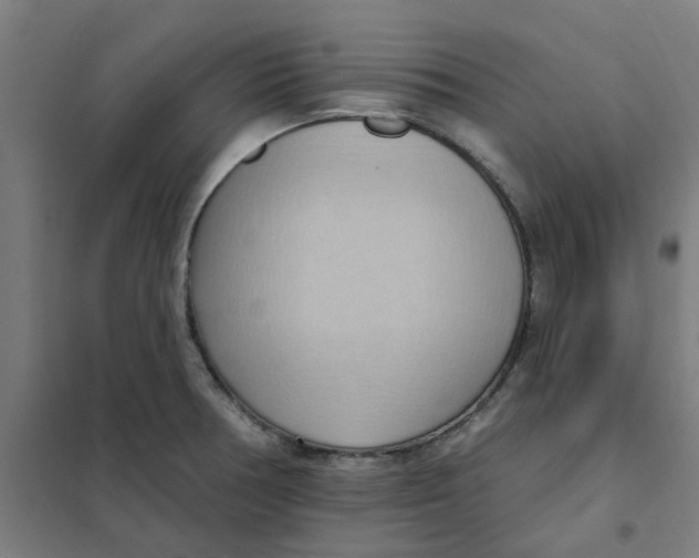 X0000101211378200807251039