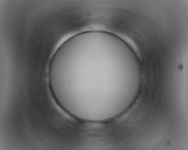 X0000101211382200807251039