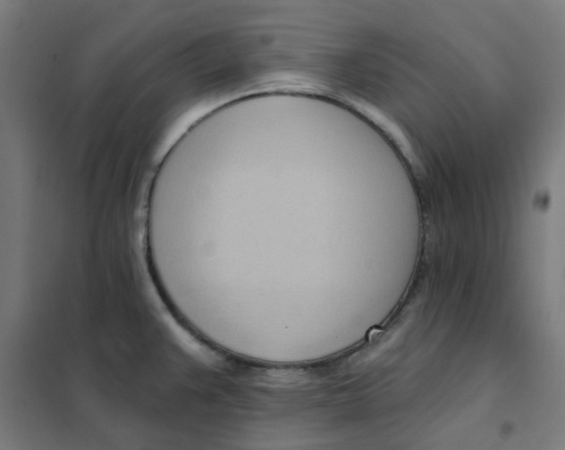 X0000101211383200807251039