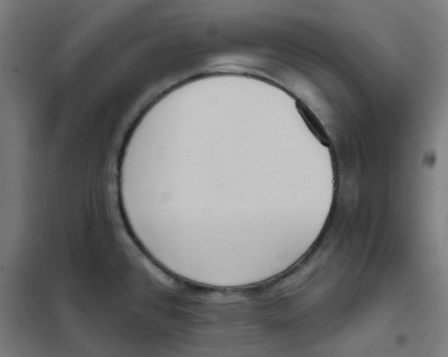 X0000101211384200807251039