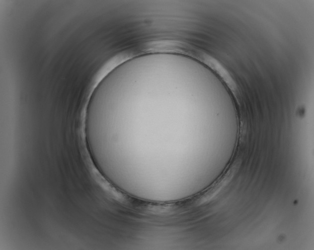 X0000101211386200807251039