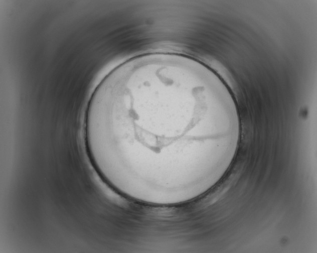 X0000101211387200807251039