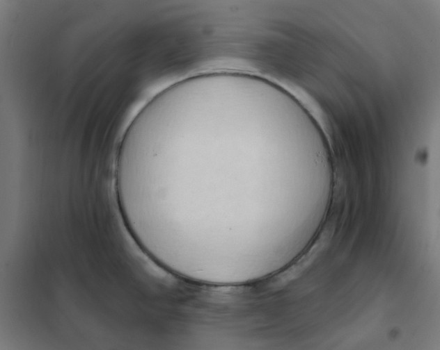 X0000101211390200807251039