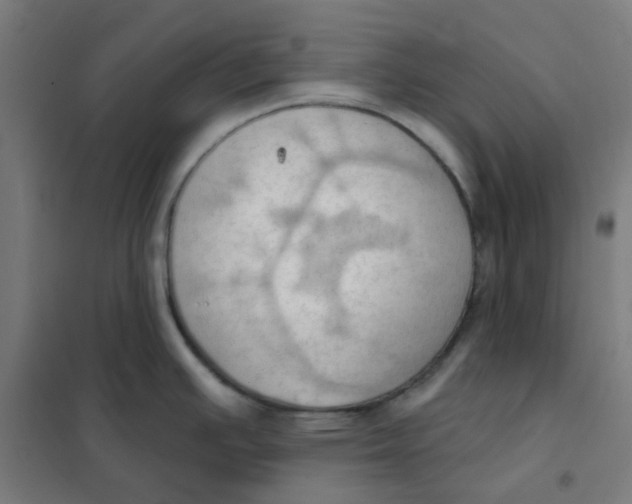 X0000101211391200807251039