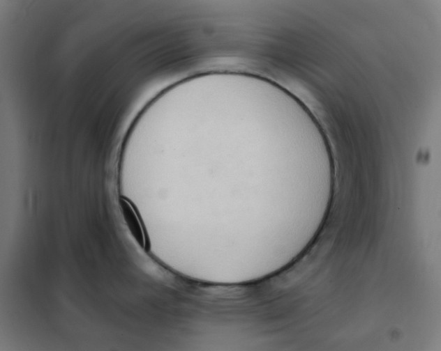 X0000101211392200807251039