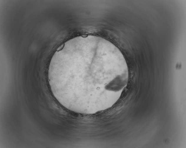 X0000101211393200807251038