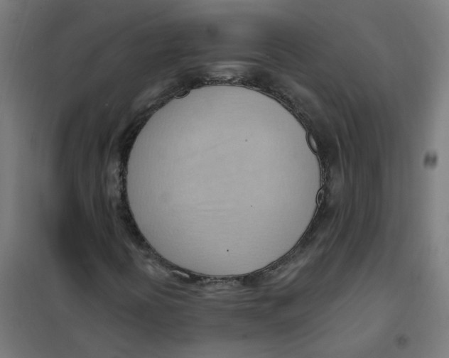 X0000101211394200807251038