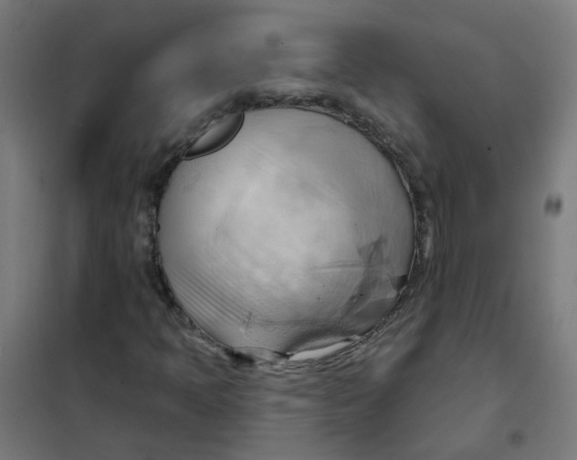 X0000101211397200807251038