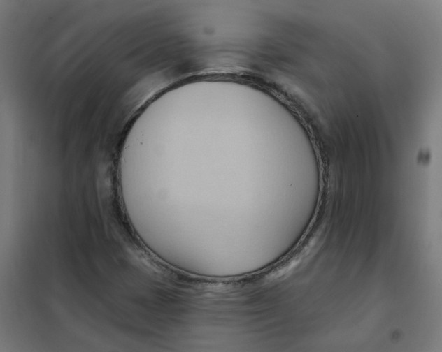 X0000101211401200807251038