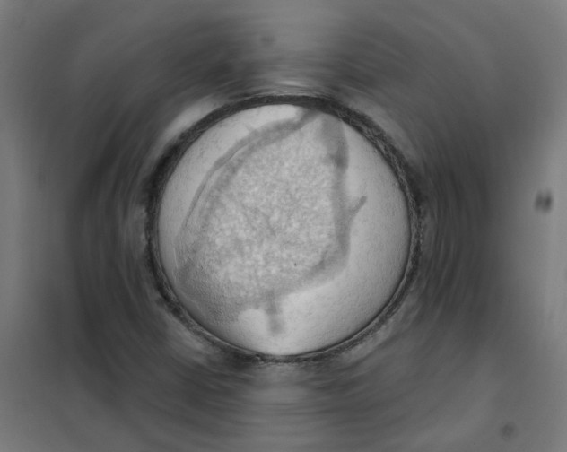 X0000101211402200807251038