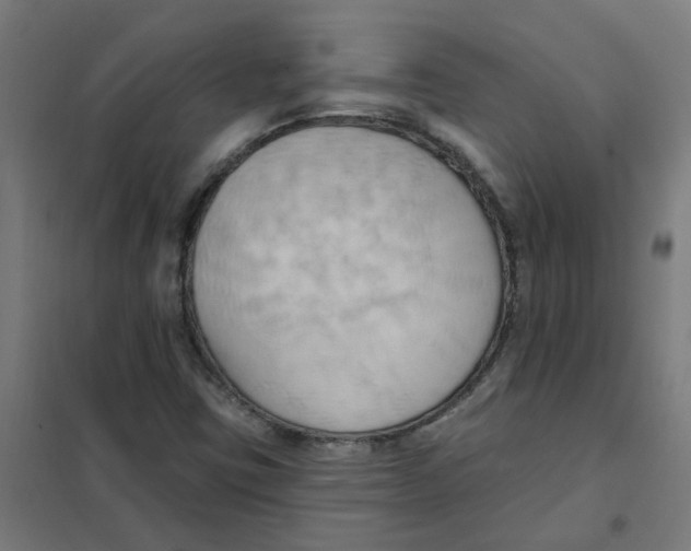 X0000101211403200807251038