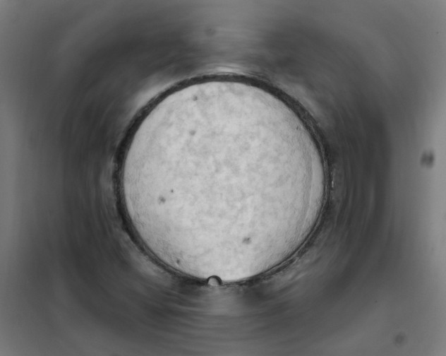 X0000101211404200807251038