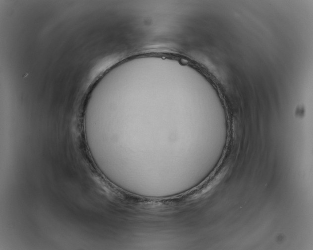 X0000101211405200807251038