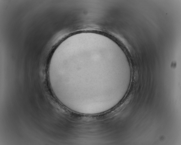 X0000101211407200807251038