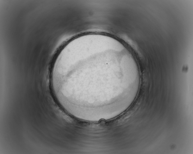 X0000101211408200807251038