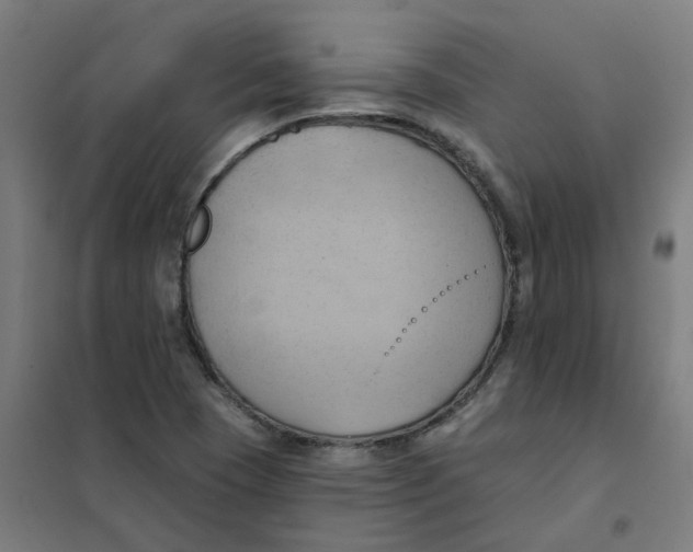 X0000101211409200807251038