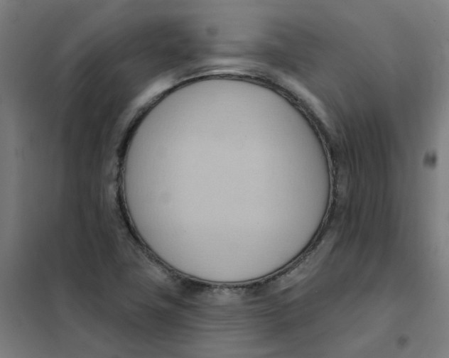 X0000101211411200807251039