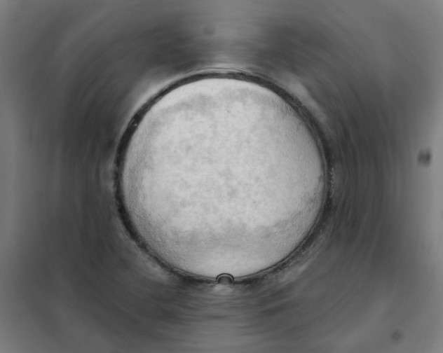 X0000101211412200807251039