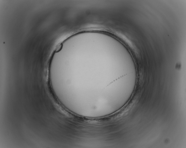 X0000101211413200807251039