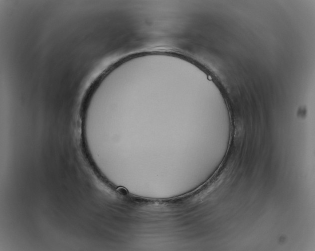 X0000101211414200807251039