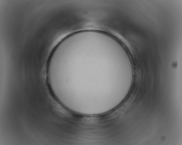 X0000101211415200807251039