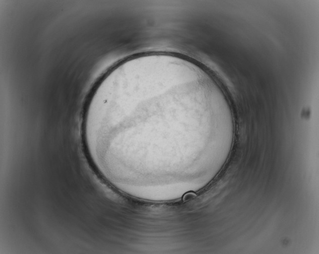 X0000101211416200807251039