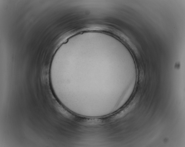 X0000101211417200807251039