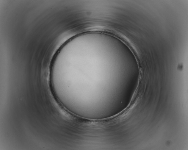 X0000101211418200807251039