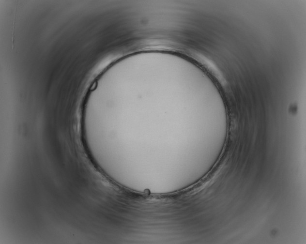 X0000101211419200807251039