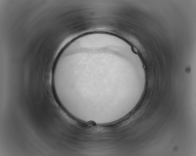 X0000101211420200807251039