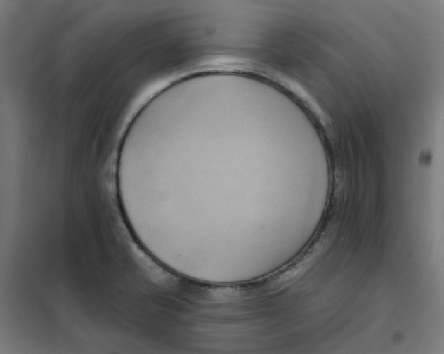 X0000101211421200807251039