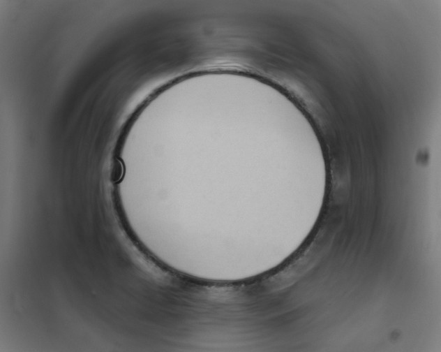 X0000101211422200807251039