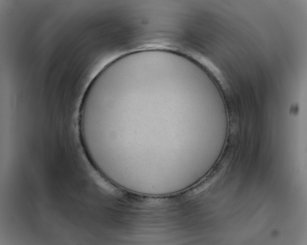 X0000101211423200807251039